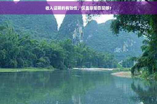 收入证明的有效性，仅盖章是否足够？
