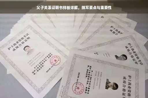 父子关系证明书样板详解，撰写要点与重要性
