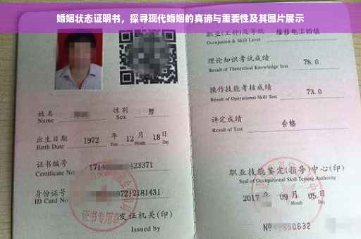 婚姻状态证明书，探寻现代婚姻的真谛与重要性及其图片展示