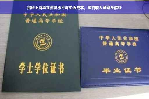 揭秘上海真实薪资水平与生活成本，税前收入证明全解析