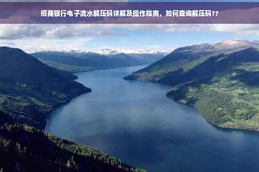 招商银行电子流水解压码详解及操作指南，如何查询解压码??