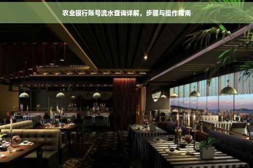 农业银行账号流水查询详解，步骤与操作指南
