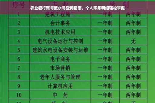 农业银行账号流水号查询指南，个人账务明细轻松掌握