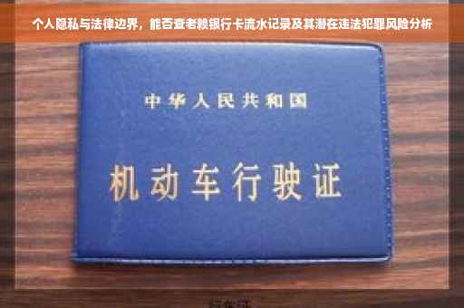 个人隐私与法律边界，能否查老赖银行卡流水记录及其潜在违法犯罪风险分析