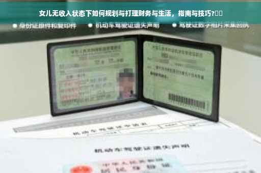女儿无收入状态下如何规划与打理财务与生活，指南与技巧?⚡️