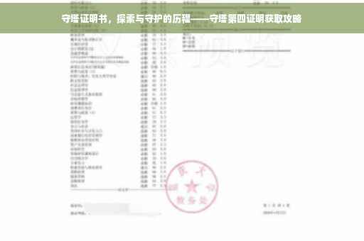 守塔证明书，探索与守护的历程——守塔第四证明获取攻略