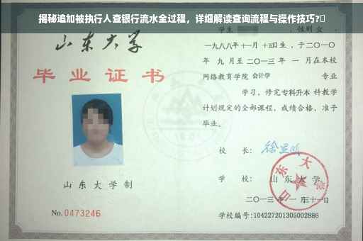 揭秘追加被执行人查银行流水全过程，详细解读查询流程与操作技巧?✨