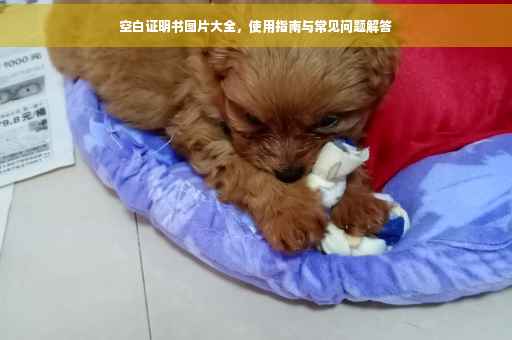 空白证明书图片大全，使用指南与常见问题解答