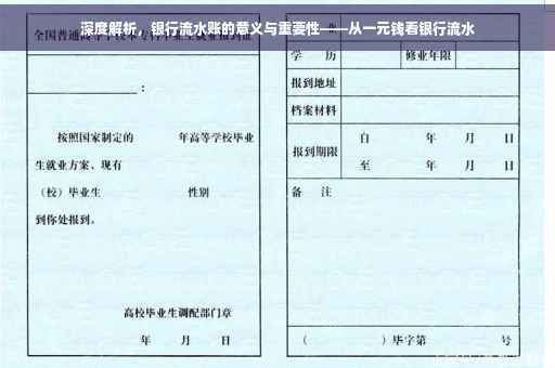 深度解析，银行流水账的意义与重要性——从一元钱看银行流水