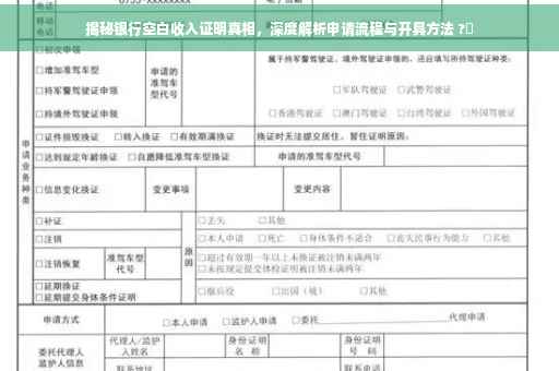 揭秘银行空白收入证明真相，深度解析申请流程与开具方法 ?✨