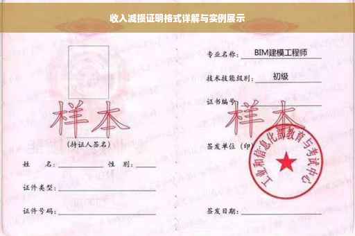 收入减损证明格式详解与实例展示