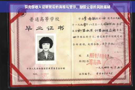 贝壳假收入证明背后的真相与警示，敲假公章的风险揭秘