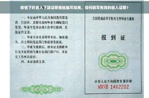 疫情下的收入下降证明模板编写指南，如何撰写有效的收入证明？