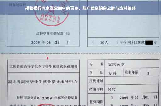 揭秘银行流水账查询中的盲点，账户信息隐身之谜与应对策略