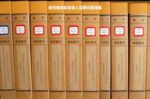 如何有效反驳收入证明问题详解