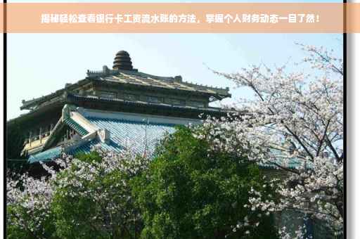 揭秘轻松查看银行卡工资流水账的方法，掌握个人财务动态一目了然！