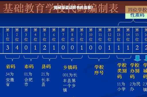 揭秘敲梁证明书的真相?