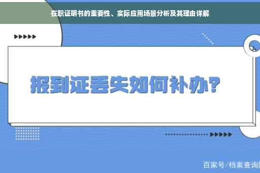 在职证明书的重要性、实际应用场景分析及其理由详解