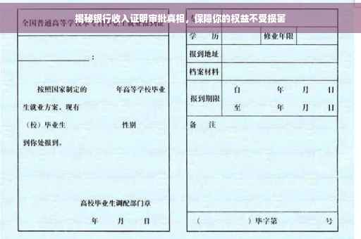 揭秘银行收入证明审批真相，保障你的权益不受损害