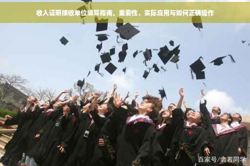 收入证明接收单位填写指南，重要性、实际应用与如何正确操作