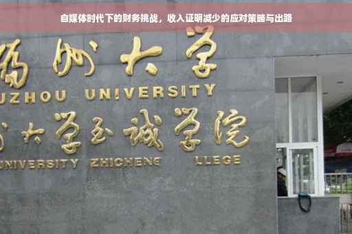 自媒体时代下的财务挑战，收入证明减少的应对策略与出路