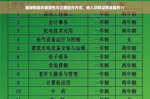 揭秘税收的重要性与正确操作方式，收入玩税证明全解析??