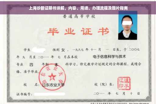 上海诊断证明书详解，内容、用途、办理流程及图片指南