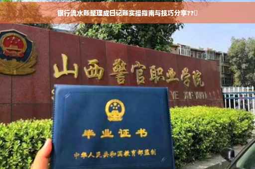 银行流水账整理成日记账实操指南与技巧分享??✨