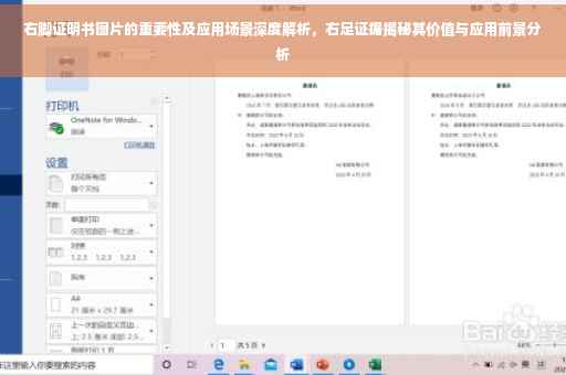 右脚证明书图片的重要性及应用场景深度解析，右足证据揭秘其价值与应用前景分析