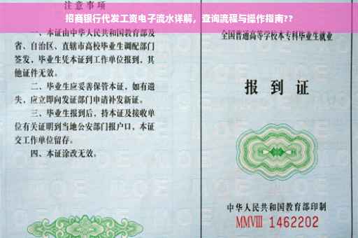 招商银行代发工资电子流水详解，查询流程与操作指南??