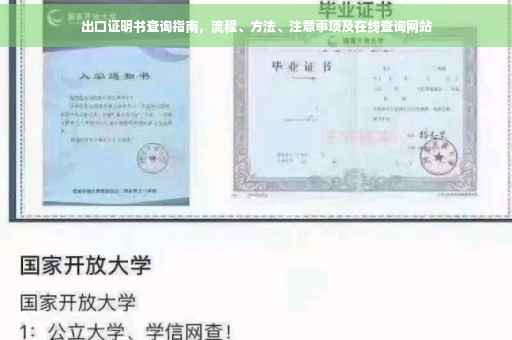 出口证明书查询指南，流程、方法、注意事项及在线查询网站