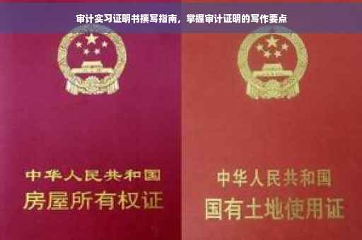 审计实习证明书撰写指南，掌握审计证明的写作要点