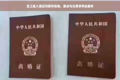 员工收入保证书撰写指南，要点与注意事项全解析