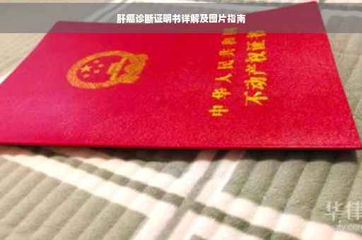 肝癌诊断证明书详解及图片指南