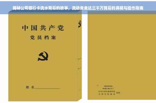 揭秘公司银行卡流水背后的故事，流动资金达三千万背后的真相与操作指南