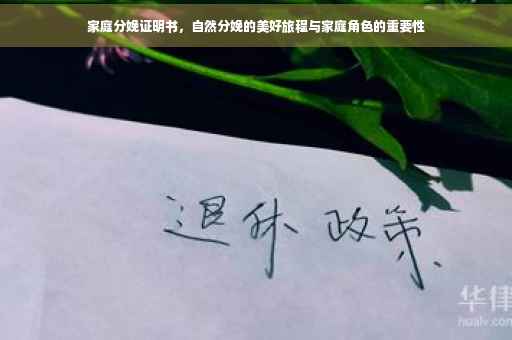 家庭分娩证明书，自然分娩的美好旅程与家庭角色的重要性