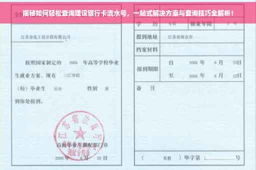 揭秘如何轻松查询建设银行卡流水号，一站式解决方案与查询技巧全解析！