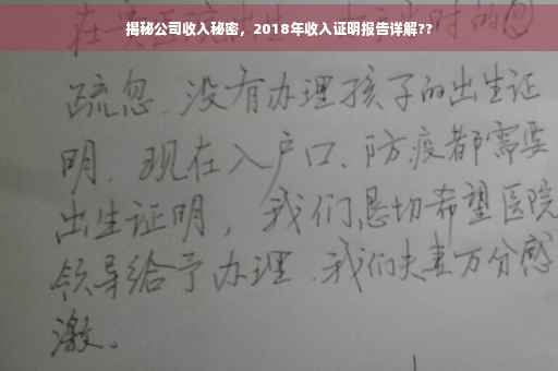 揭秘公司收入秘密，2018年收入证明报告详解??