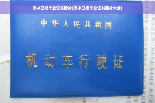 汉中卫校毕业证书图片(汉中卫校毕业证书图片大全)