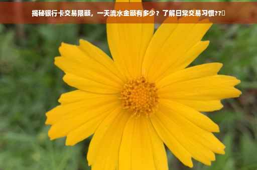揭秘银行卡交易限额，一天流水金额有多少？了解日常交易习惯??✨