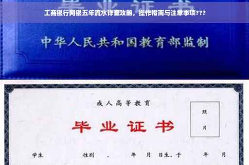 工商银行网银五年流水详查攻略，操作指南与注意事项???