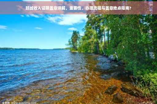 郯城收入证明盖章详解，重要性、办理流程与盖章地点指南?