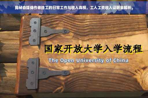 揭秘自媒体作者徐工的日常工作与收入真相，工人工资收入证明全解析。