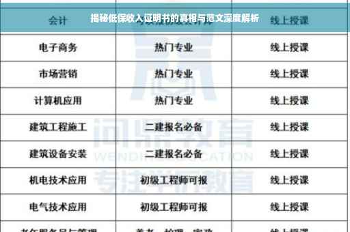 揭秘低保收入证明书的真相与范文深度解析