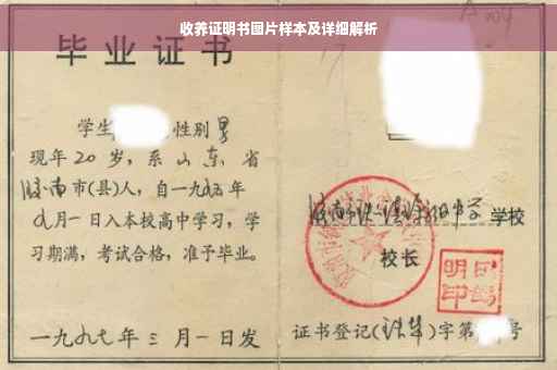 收养证明书图片样本及详细解析