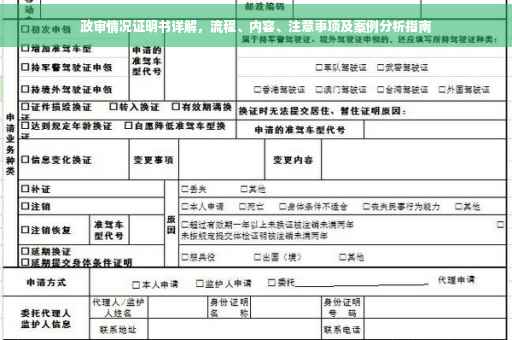 政审情况证明书详解，流程、内容、注意事项及案例分析指南