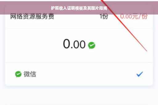 护照收入证明模板及其图片指南