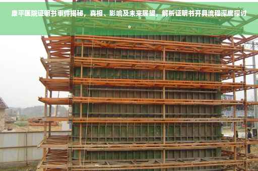 康平医院证明书事件揭秘，真相、影响及未来展望，解析证明书开具流程深度探讨。