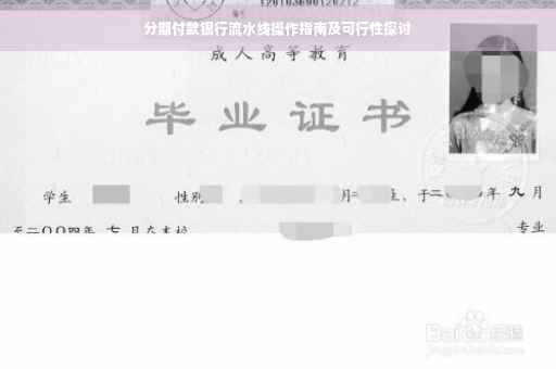 分期付款银行流水线操作指南及可行性探讨