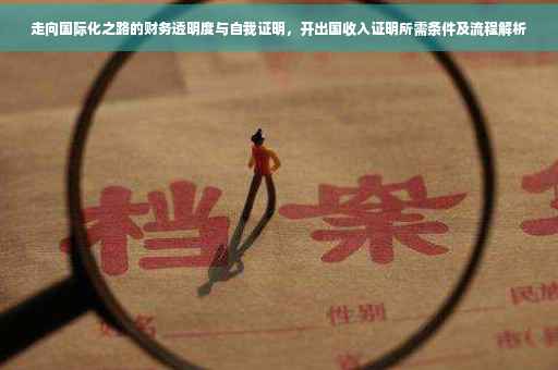 走向国际化之路的财务透明度与自我证明，开出国收入证明所需条件及流程解析